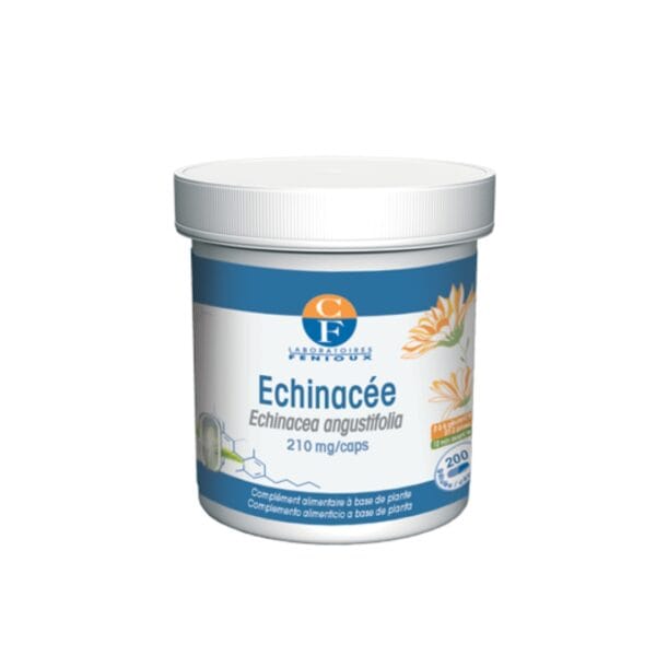 Fenioux Echinacee